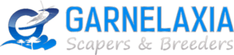 Garnelaxia logo